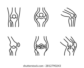 Knee Joint Anatomy Line Icon Set for Healthcare