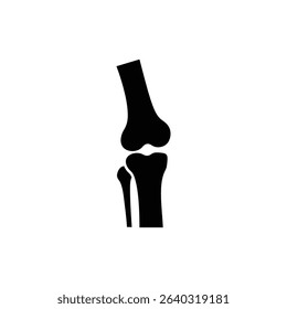 Knee Joint Bones Aligned Anatomy Illustration for Medical Education