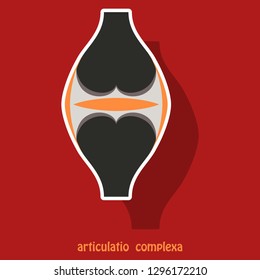 Knee joint health care icon sticker