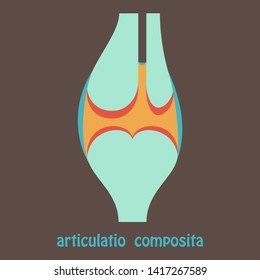 Knee joint health care icon flat