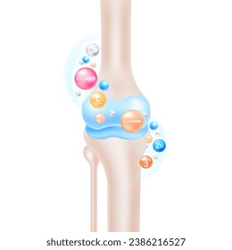 Knee Joint Health Nutrients and Supplements Vector Illustration.