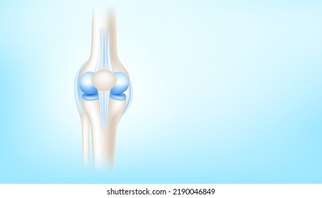 Knee joint with healthy cartilage front on blue background with copy space for text. ฺBone human skeleton anatomy of the body. Medical health care science concept. Realistic 3D Vector illustration.