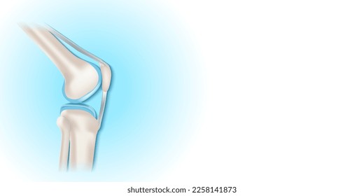 Knee joint with healthy cartilage on blue and white background with copy space for your text. side view of human knee. Vector illustration for presentation, advertising, banner, visiting card