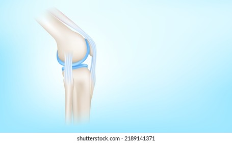 Knee joint and healthy cartilage side blue background and copy space for text  ฺBone human skeleton anatomy the body  Medical health care science concept  Realistic 3D Vector illustration 