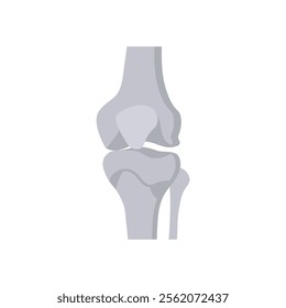 Knee Joint, Human Body Part Illustration