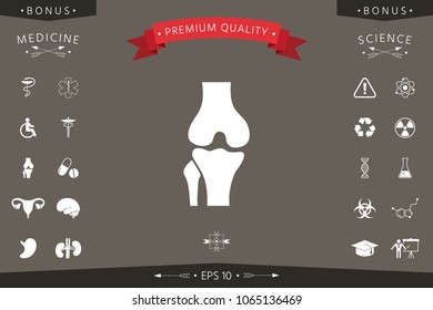 Knee joint icon