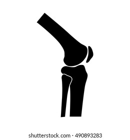 Knee Joint Icon