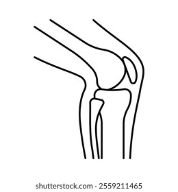 Knee joint, line icon. Skeleton, bones, leg, hip, knee. Orthopediс traumatologist related symbol. Linear illustration, editable stroke.