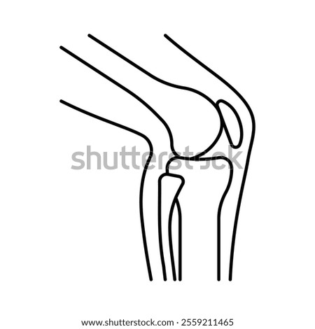 Knee joint, line icon. Skeleton, bones, leg, hip, knee. Orthopediс traumatologist related symbol. Linear illustration, editable stroke.