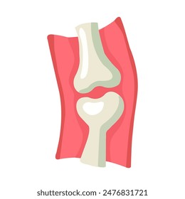 Knee Joint, Medical and Educational Graphic