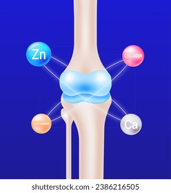 Knee Joint Nutritional Elements Diagram