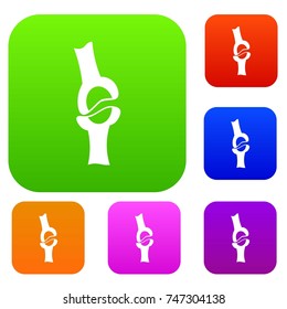 Knee joint set icon color in flat style isolated on white. Collection sings vector illustration