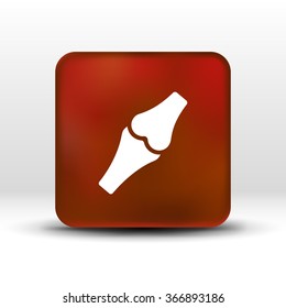 Knee joint sign vector illustration icon bone knee health human medical.