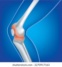 Knee Pain. Blue Human Anatomy Body 3D render on blue background.Educational medical illustration of leg bones and knee.