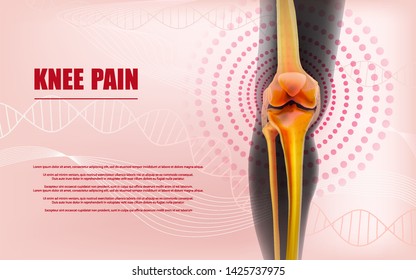 Knee pain relief Bones the of knee