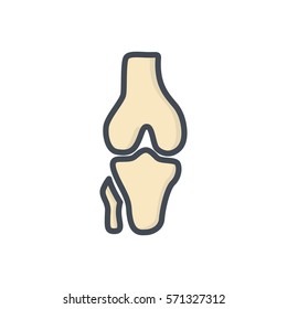 knee skeleton icon