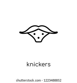 knickers icon. Trendy modern flat linear vector knickers icon on white background from thin line Knickers collection, outline vector illustration