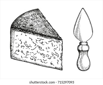 knife for hard Parmesan cheese. vector. hand drawing isolated