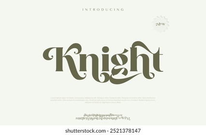 Knight elegant alphabet letters. Classic Lettering Minimal Fashion Designs. Typography modern sans serif fonts and numbers. vector illustration