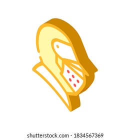 knight helmet isometric icon vector. knight helmet sign. isolated symbol illustration