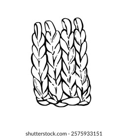 Knitted or crocheted hobby items. Hand knit element.Vector Hand drawing black and white line art illustration for handmade, hobby Knitting handicraft product design print isolated from background 