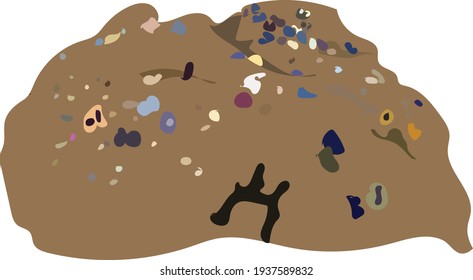 Knobbed Hump Coral  in sea