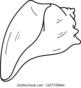 Knobbed whelk. Marine snail shell. Georgia State symbol. Vector outline icon.