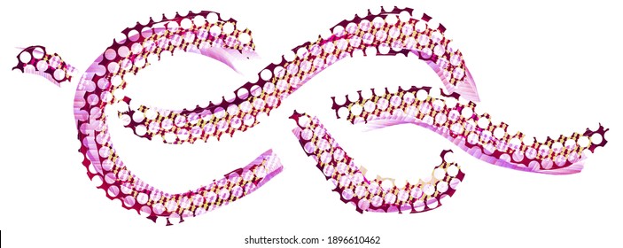 Knotted rope dotted pattern infinity symbol eps10 vector illustration isolated on white background.