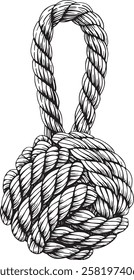 Knotted ropes cords monkey fist knot. Nautical thread whipcord with loops and noose. Rope cord Twisted element. Illustration hand drawn graphic isolated background Vector. Braided, folded spiral fiber