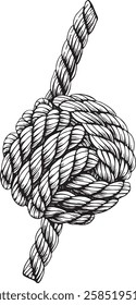 Knotted ropes cords monkey fist knot Vector. Nautical thread whipcord with loops and noose. Rope cord Twisted element. Illustration hand drawn graphic isolated background. Braided, folded spiral fiber