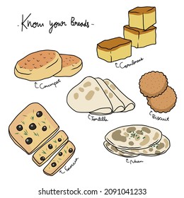 Know your breads chart vector illustration