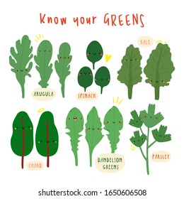 Know Your Greens - super cute vector collection with various greens: Kale, Spinach, Arugula, Chard, Dandelion greens, Parsley. Seasonal green salads leaves illustration.