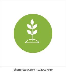 know your plant vector art icon