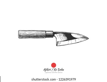 Ko Deba or ajikiri, Japanese kitchen knife. Vector hand drawn illustration in vintage engraved style. Isolated on white background.
