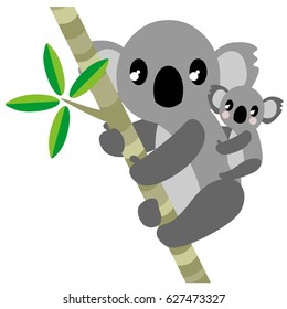 koala