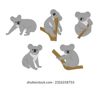 Koala 3 cute auf weißem Hintergrund, Vektorgrafik