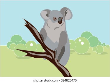 Koala animal Australia. Vector