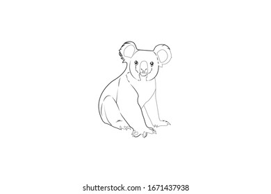 Koala Animal Cartoon Vektorillustration - Kurzdarstellung