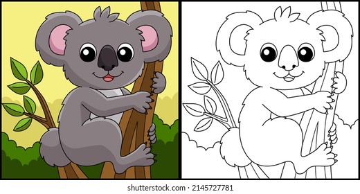 Koala Animal Coloring Page Colored Illustration