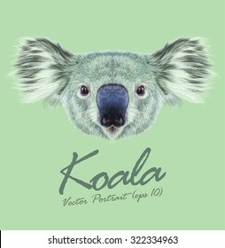 Koala Animal Face. Vector Australian Cute Head Of Marsupial Bear. Realistic Wild Fur Eucalyptus Koala Portrait Isolated On Green Background.