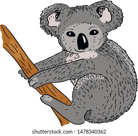koala animal vector illustration . Concept for print, logo, icon, web design , cards