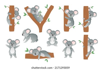 Koala animals. Sleep australian bear characters, baby mammal on branch, cute lazy tropical mascot with smile. Exotic creature in different poses. Cartoon flat vector isolated illustration set