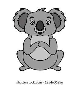 koala australian fauna on white background