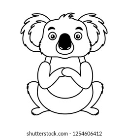 koala australian fauna on white background