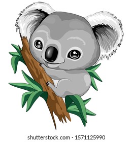 Koala Baby Cute Cartoon Character Vector Illustration 