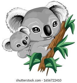 Koala Baby and Mother on Eucalypt Branch Cute Characters Vector Illustration
