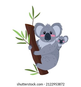 Koala with a baby on a eucalyptus tree. Mom and baby. Koala is a marsupial species found in Australia. Vector illustration isolated on a white background for design and web.