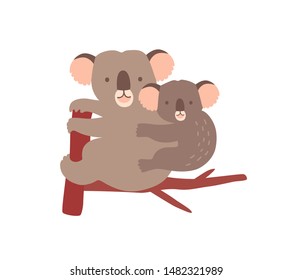 Koala with baby on tree branch isolated on white background. Family of wild Australian arboreal marsupial animals. Parent with youngling, mother with joey on back. Flat cartoon vector illustration.