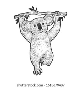 Koala bear animal on tree sketch engraving vector illustration. T-shirt apparel print design. Scratch board imitation. Black and white hand drawn image.