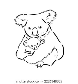 Animales de oso Koala en el bosquejo de árbol grabando ilustración vectorial. Imitación del estilo de la tabla de rayas. Imagen dibujada a mano en blanco y negro.